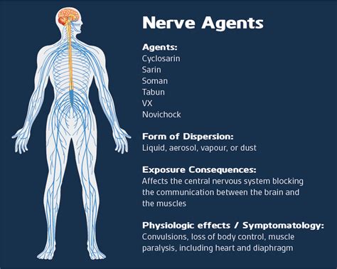 What Is A Nerve Agent