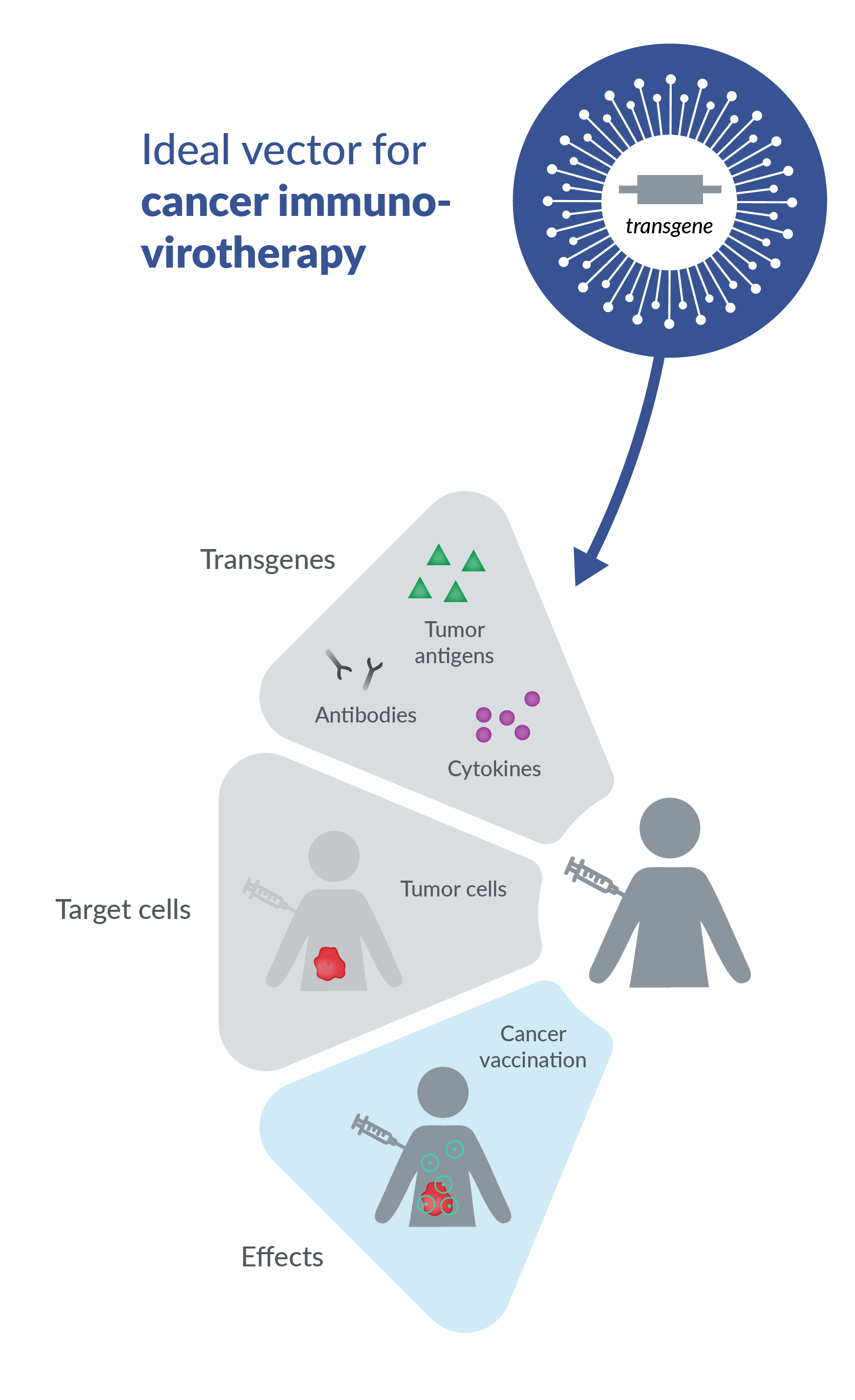 What Time Is Syria Immuno Oncology