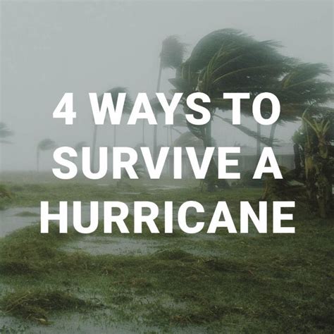 What To Do Four Ways To Survive A Hurricane Africahunting Com