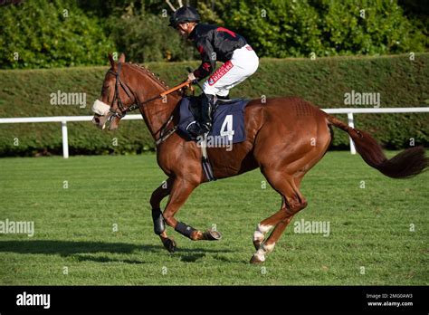 Windsor Berkshire Uk 10Th October 2022 Horse Imperial Cult Ridden By Jockey Aidan Keeley