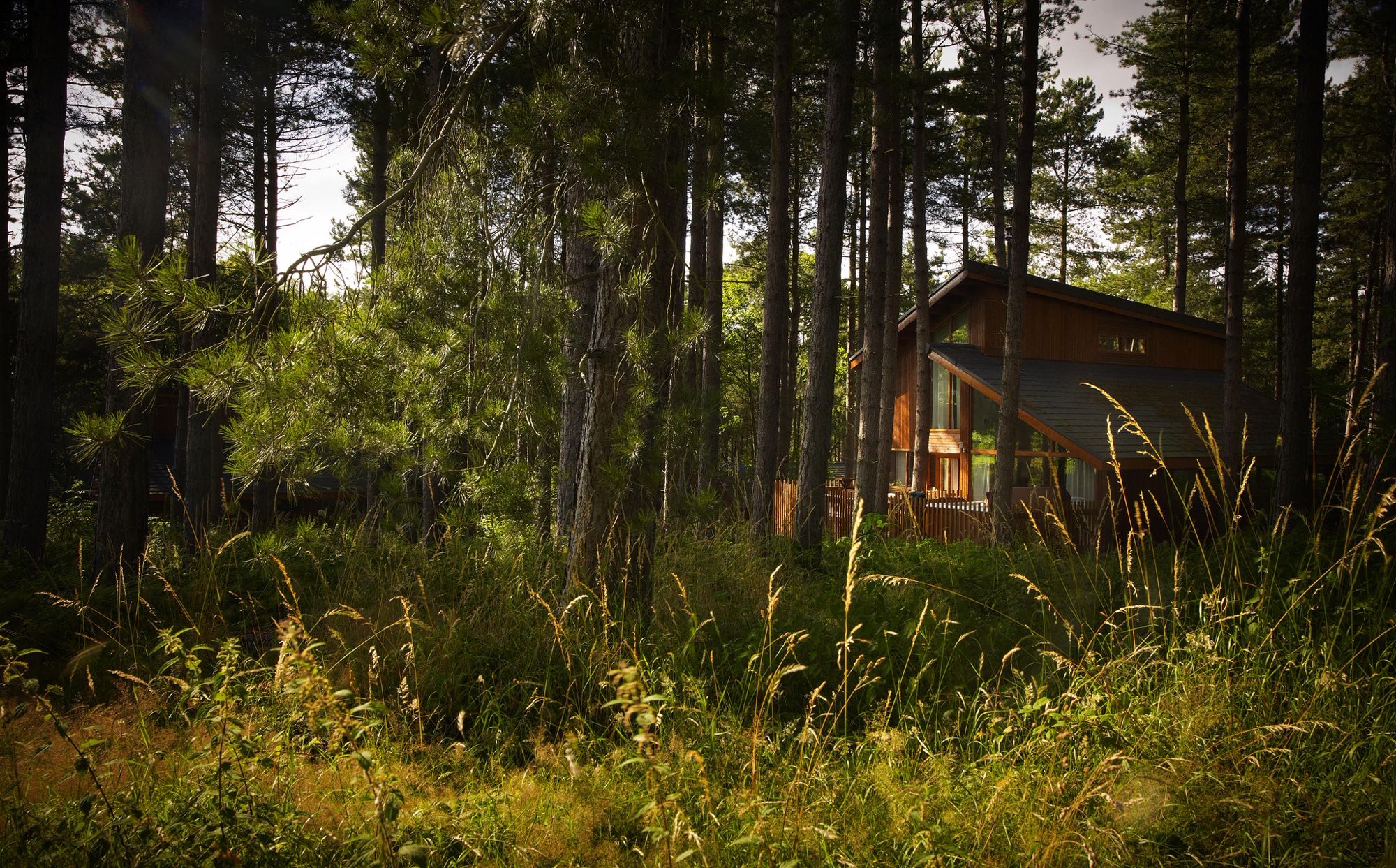 Woodland Cabins Lodges Best Uk Cabins In The Woods Cool Places To