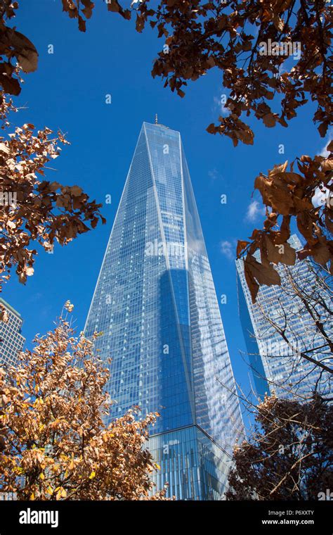 World Trade Center In Downtown Manhattan New York City Usa